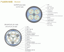 聚乙烯絕緣鋼絲鎧裝計算機(jī)電纜