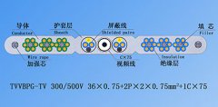 扁平絞合型排列帶屏蔽、鋼芯和視頻線電梯電纜