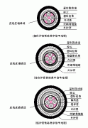 PTYA23、PTYA22鐵路鎧裝信號(hào)電纜